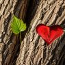 alice in thousandpetaled featured image lifestyle personal growth development health 03 341515uvadf
